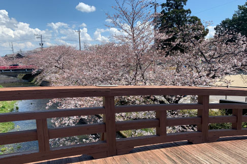 サカイ創建　懇親会風景